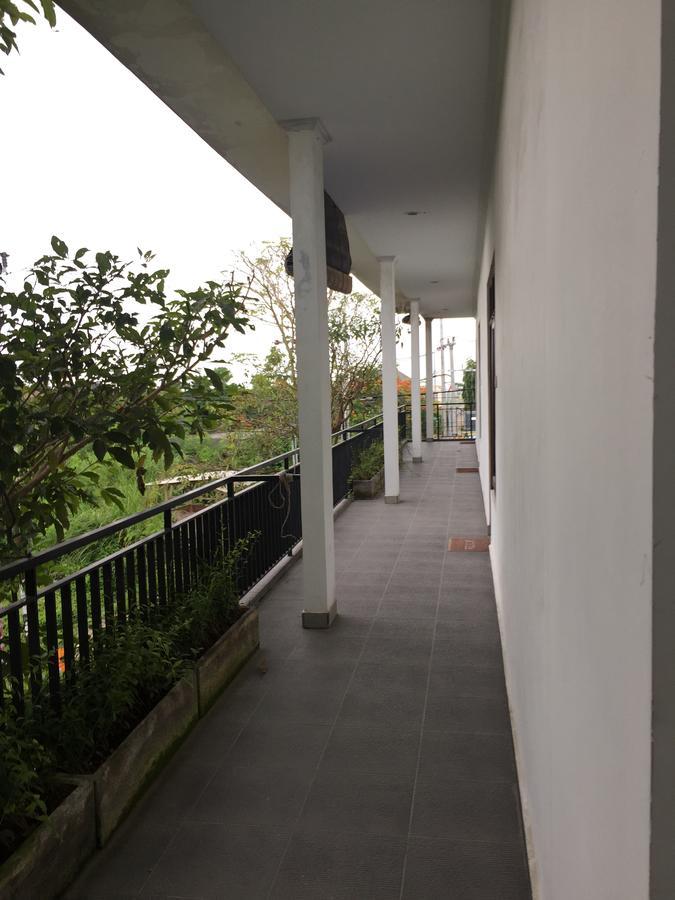 קנגו Grass Terrace Homestay מראה חיצוני תמונה